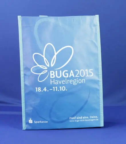 Model: PP Non Woven bags #25