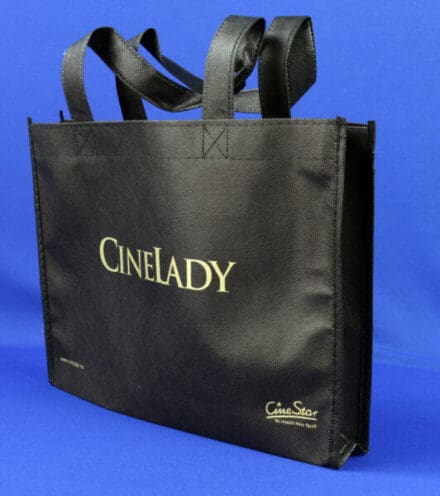 Model: PP Non Woven bags #13