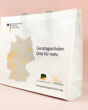 Model: PP Non Woven Bags #31