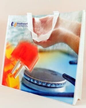 Model: PP Non Woven Bags #38