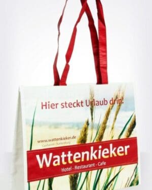 Model: PP Non Woven Bags #29